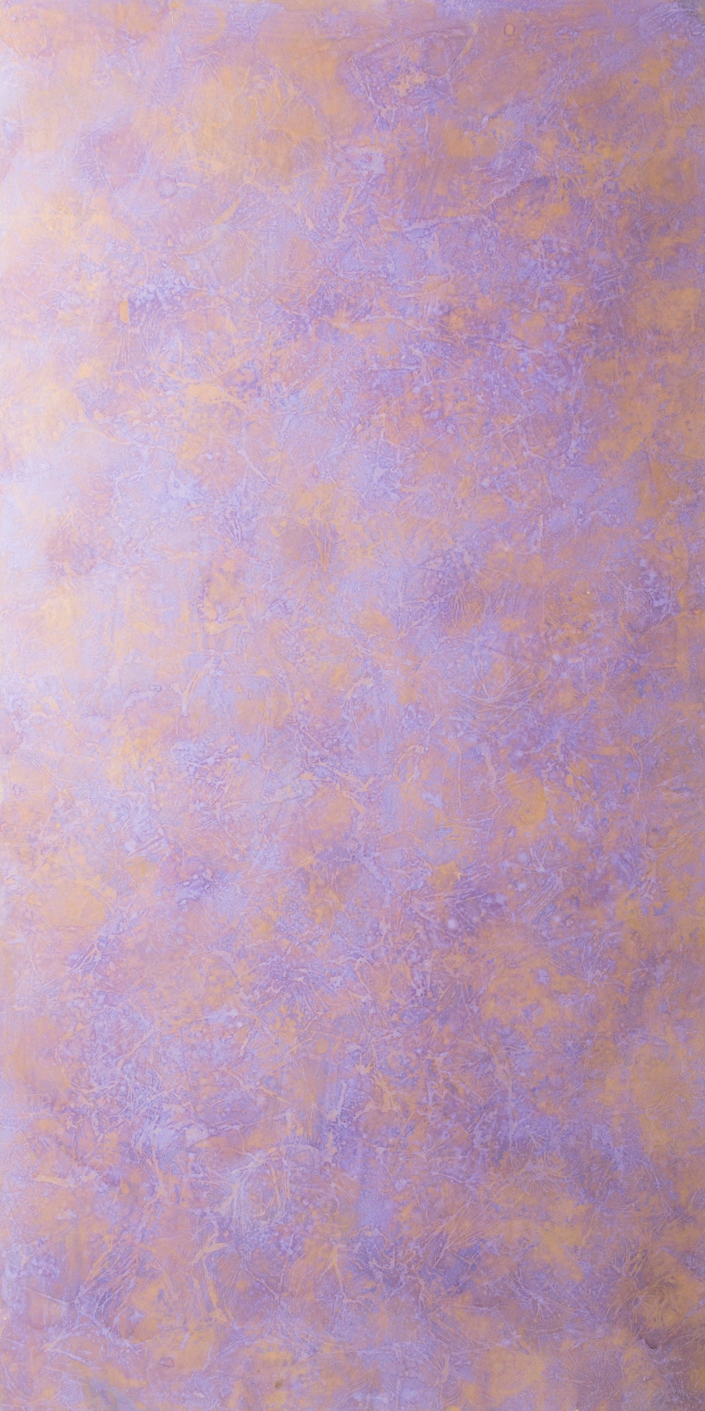 RR02-41