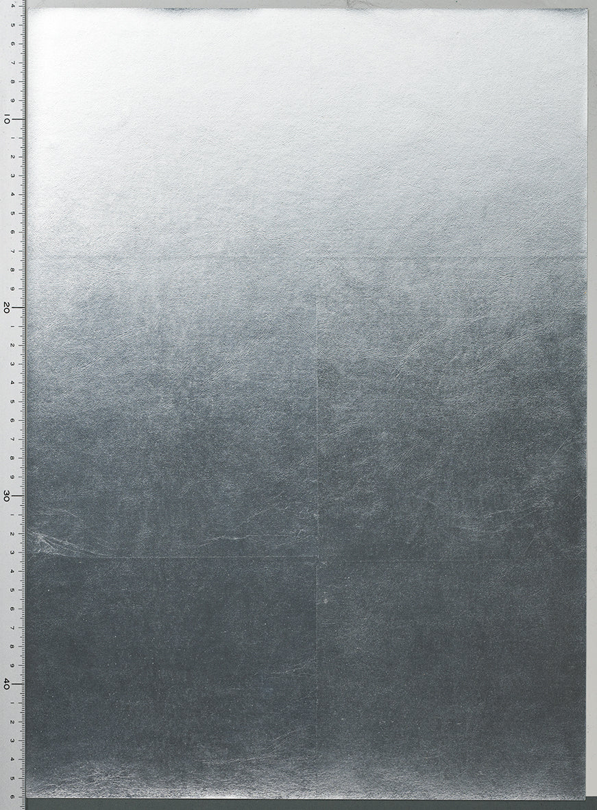 RSA-002