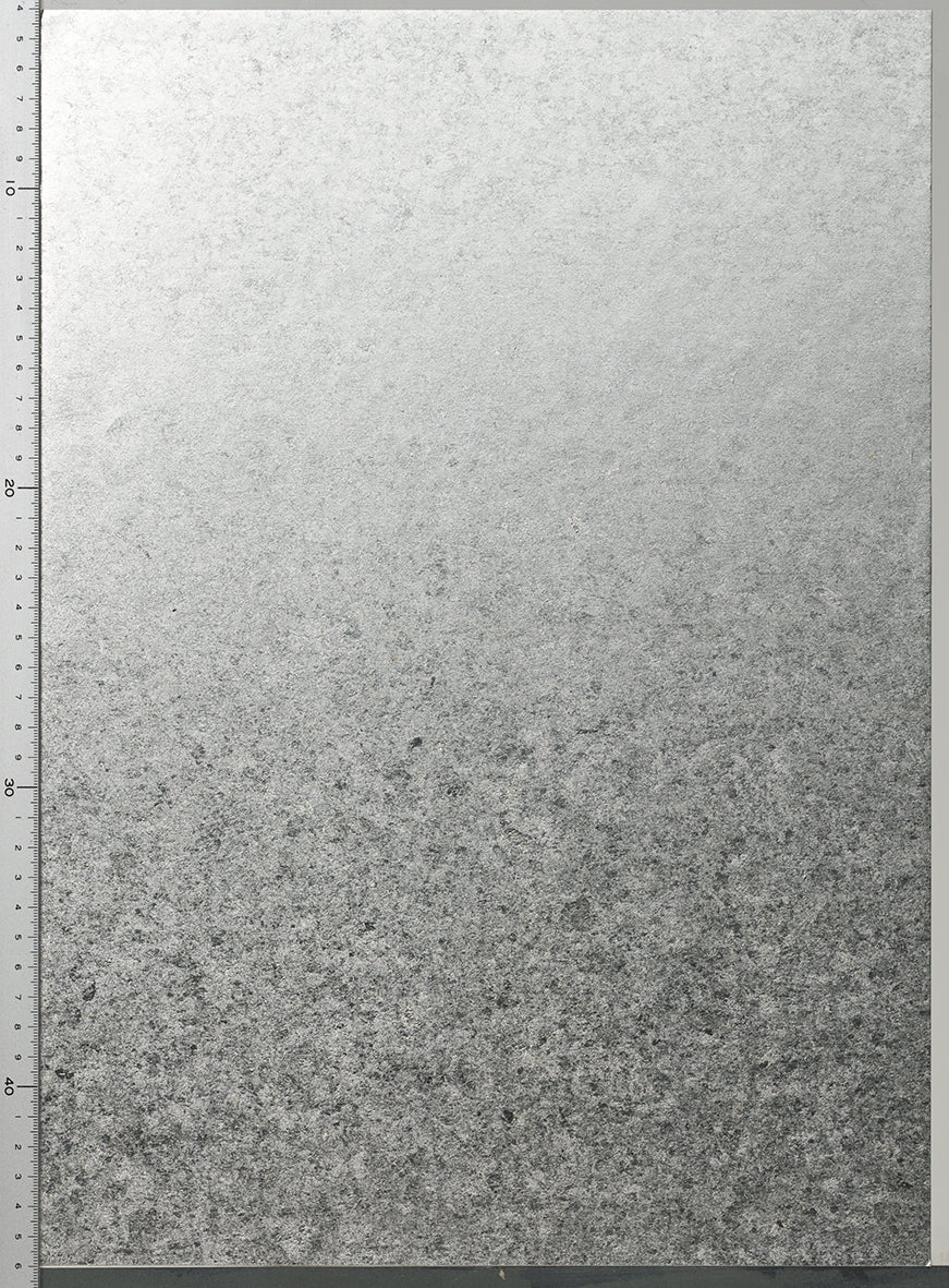 RSA-008