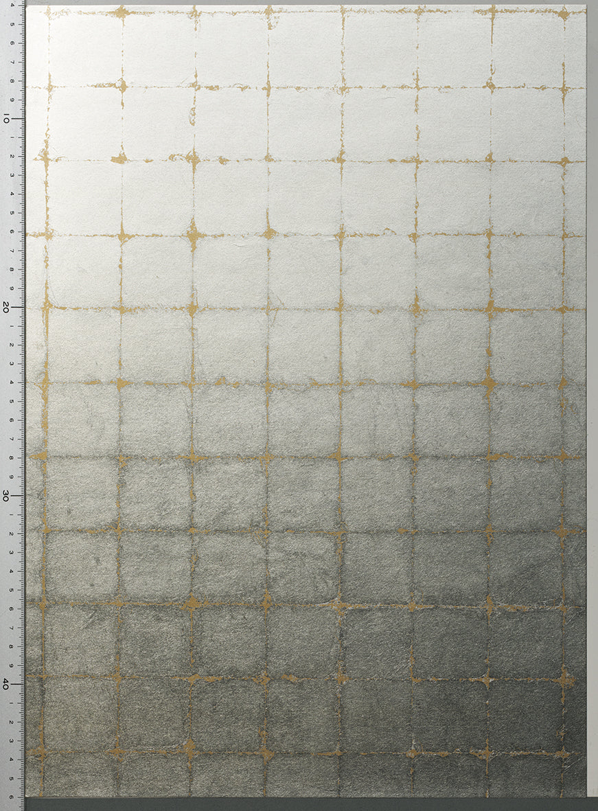 RSA-011