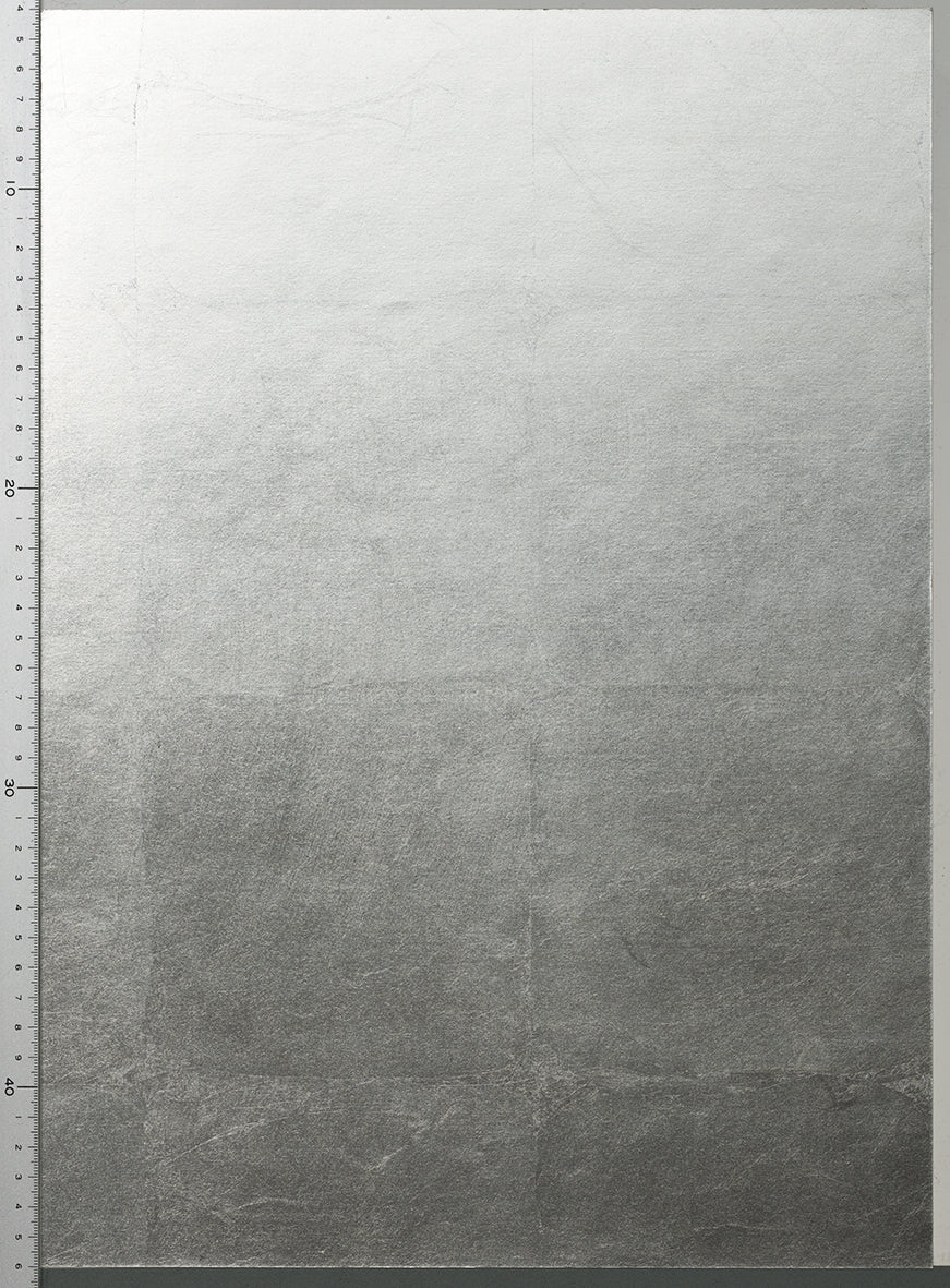 RSA-013