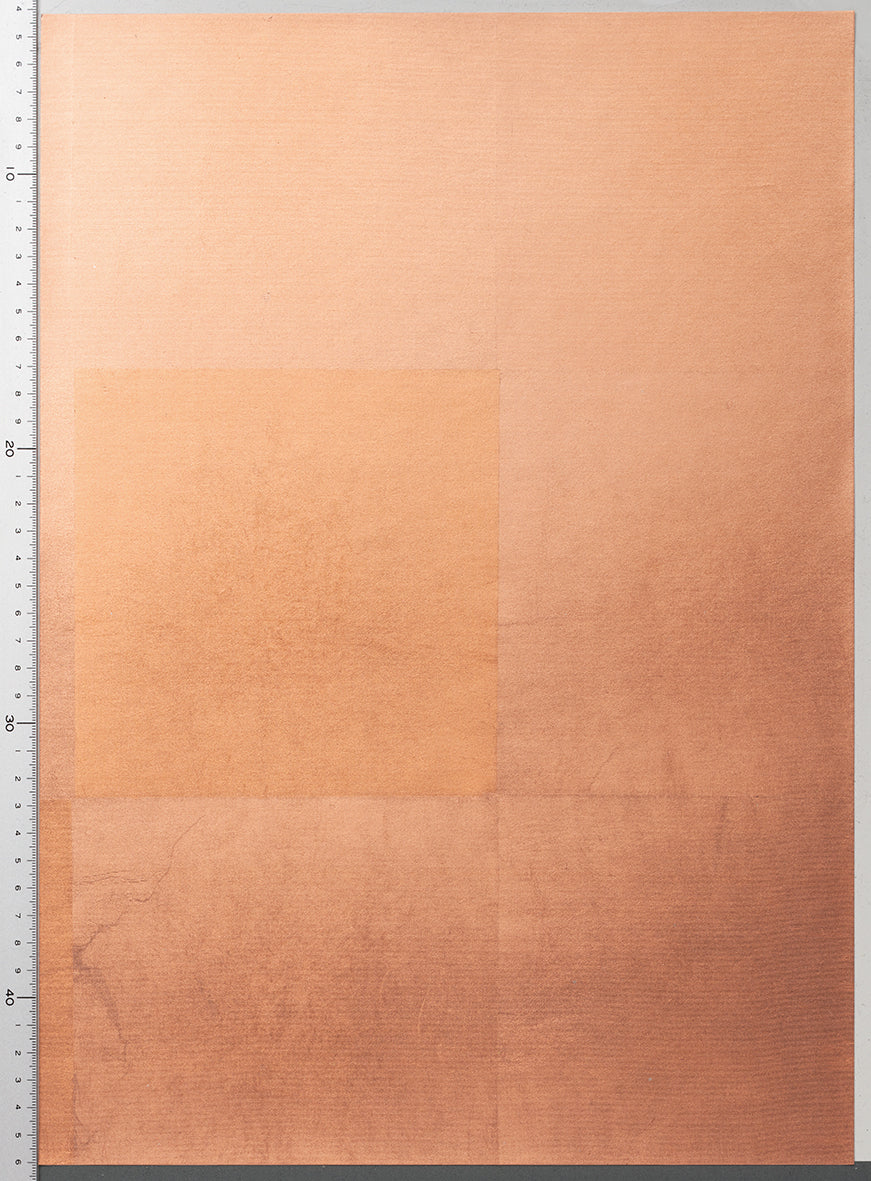 RSC-005