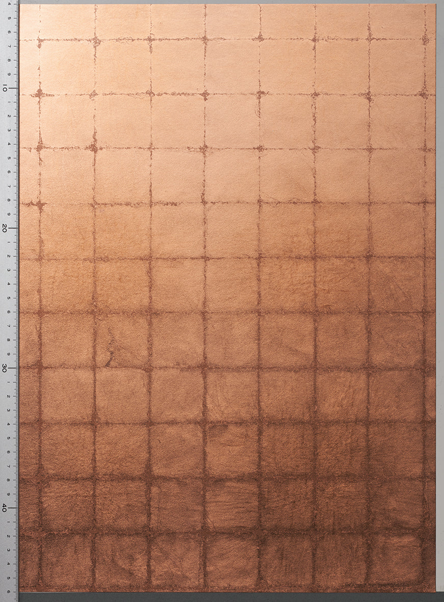 RSC-011