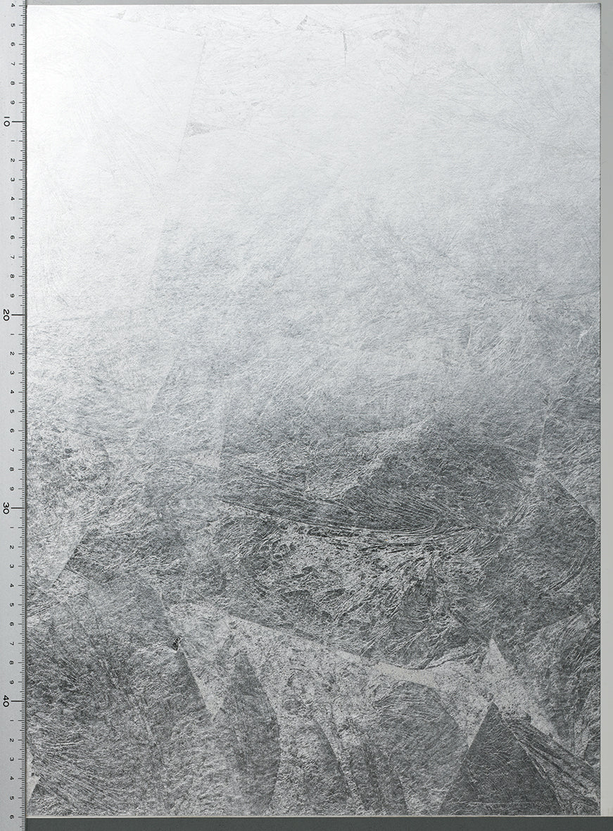 RSS-009