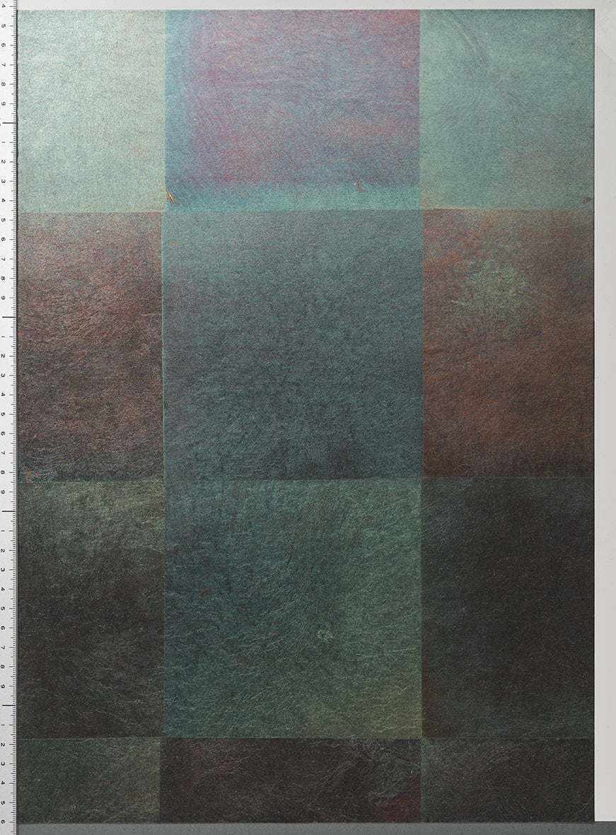 RSSE-001