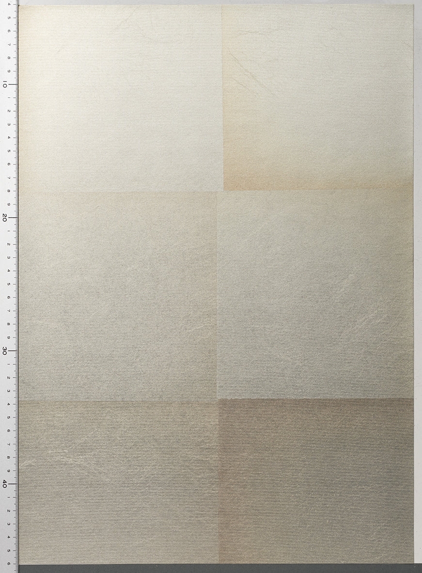 RST-005