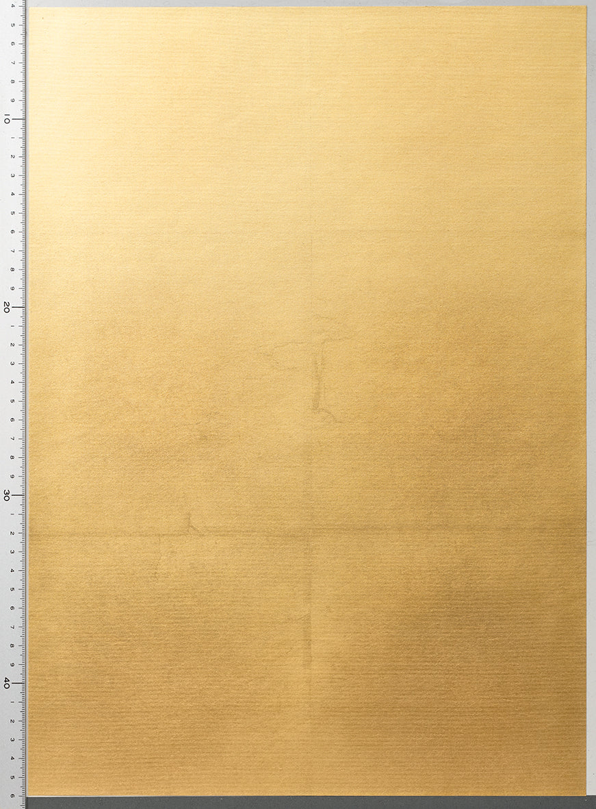 RSY-005