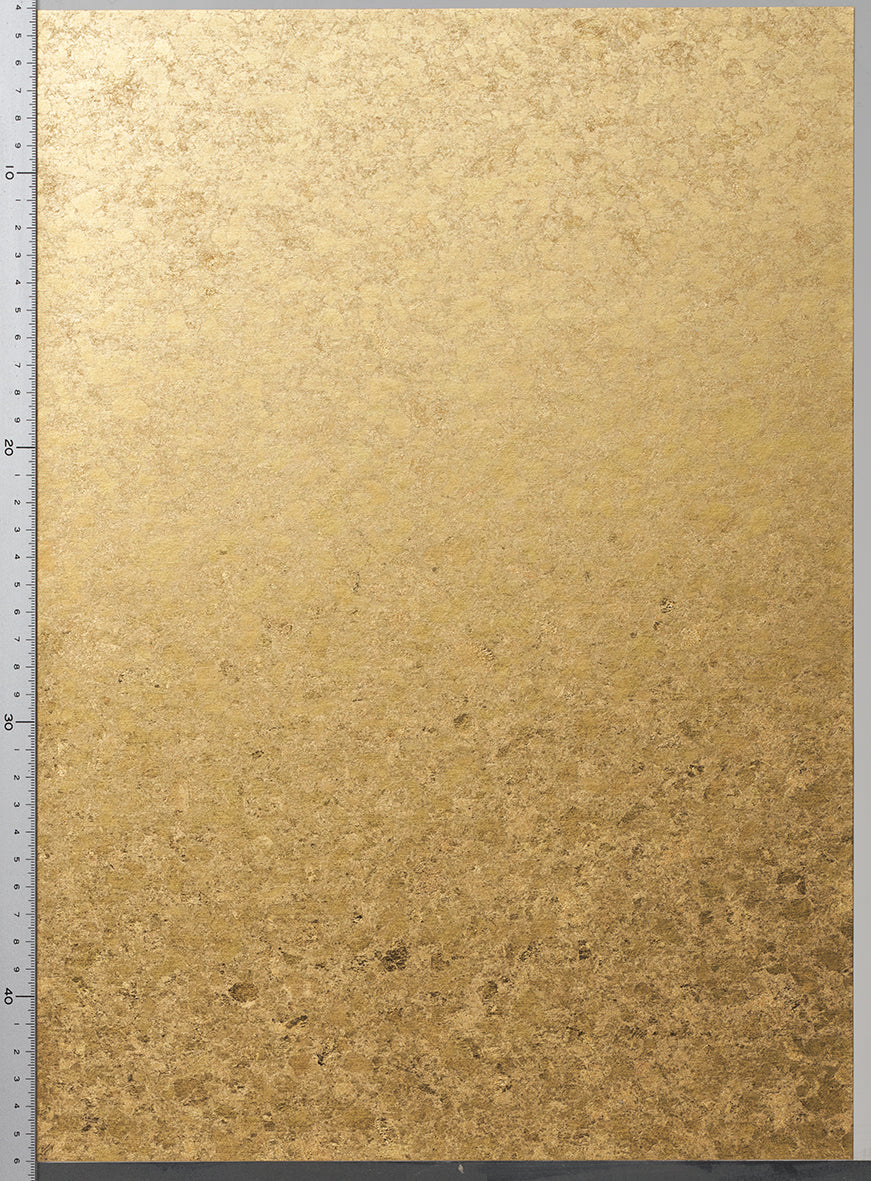 RSY-008