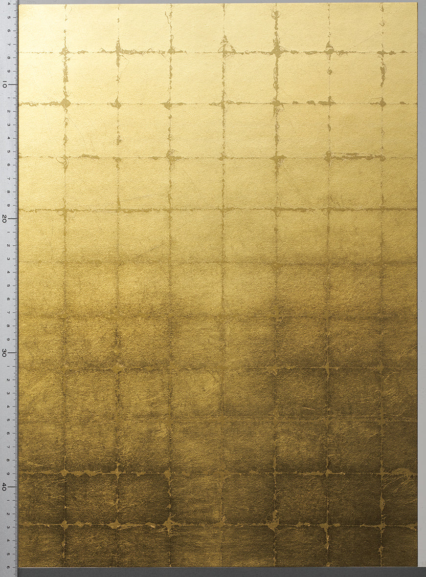 RSY-011